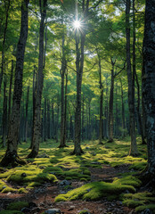 Obraz premium uma floresta de arvores frondosas created with Generative AI technology