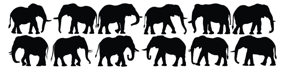 Elephant silhouettes set, pack of vector silhouette design, isolated background