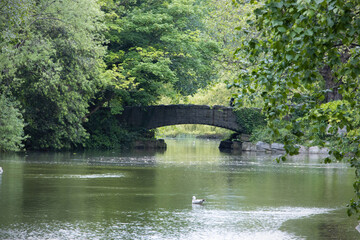 Fototapeta premium the lake and footbridge at st stephens green park, dublin, ireland