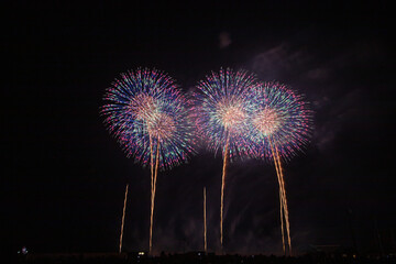 春の東北の花火