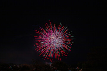 夜空に浮かび上がる夏の花火