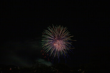夜空に浮かび上がる夏の花火