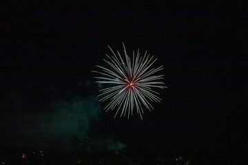 夜空に浮かび上がる夏の花火
