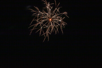 夜空に浮かび上がる夏の花火