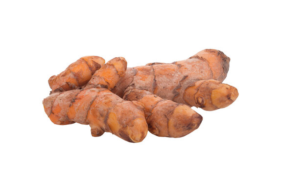 Fresh turmeric roots isolated on transparent png