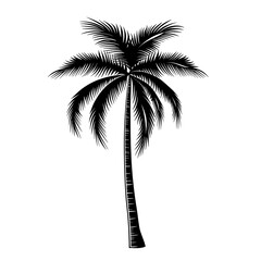 palm tree illustration