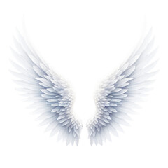 Obraz premium Sharp White Angel Wing Isolated on Transparent Background
