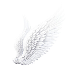 High Resolution White Angel Wing Transparent Background