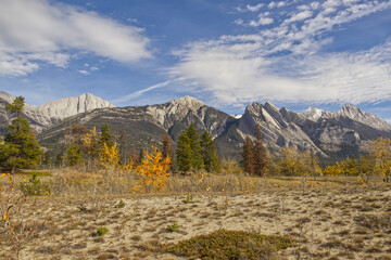 A Sunny Autumn Day at The Rocky Mountains