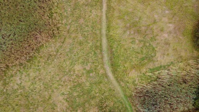 A drone flight over a hiking path in a grassy field.