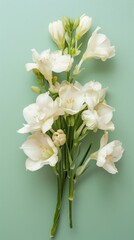 A bouquet of white flowers with green stems against a mint green background