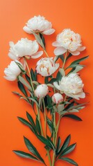 White peonies with green stems arranged on an orange background