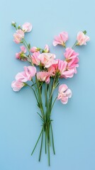 A bouquet of pink sweet pea flowers arranged on a light blue background