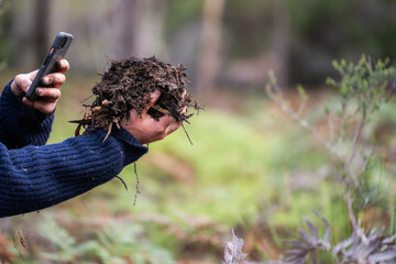 scientist researcher studying soil and forest health effects from climate change. university...
