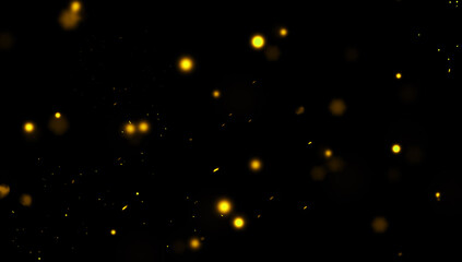 Blurred particles effect dust debris isolated on black background, motion powder spray burst texture.