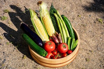 色とりどりの野菜　野菜集合