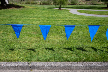 String of blue plastic flags roping off parking at curb at grass lawn in a park, sunny spring day outside
