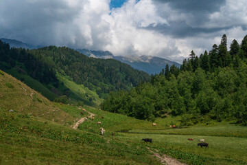The valley of the Malaya Dukka River surrounded by the mountains of the North Caucasus and the tourist trail to the Dukka Lakes on a sunny summer day, Arkhyz, Karachay-Cherkessia, Russia © Ula Ulachka