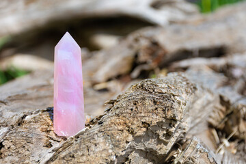 An image of a single tall rose quarts crystal tower standing on a driftwood log. 