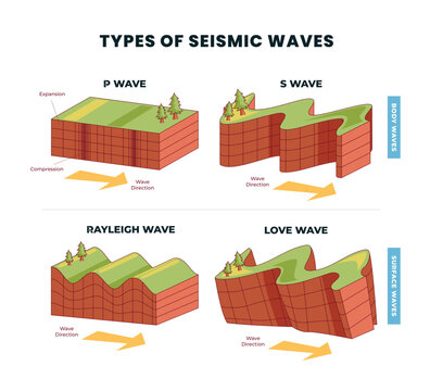 Different types of seismic waves as earth movement in earthquake outline, labeled rayleigh, love and body, surface wave comparison with direction explanation, shaking of the Earth's surface.