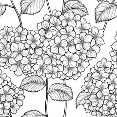 A detailed line drawing of a hydrangea cluster, with its numerous small flowers forming a large, rounded bloom, highlighting the flowers intricate structure. Minimal pattern banner wallpaper, simple