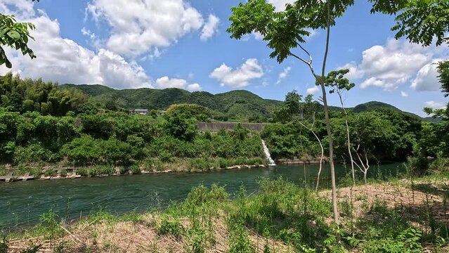 初夏の狩野川中流