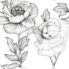 Fototapeta premium A line drawing of a single peony flower, with its dense layers of petals and broad leaves, capturing the flowerâ€™s lush and opulent appearance. Minimal pattern banner wallpaper, simple background,