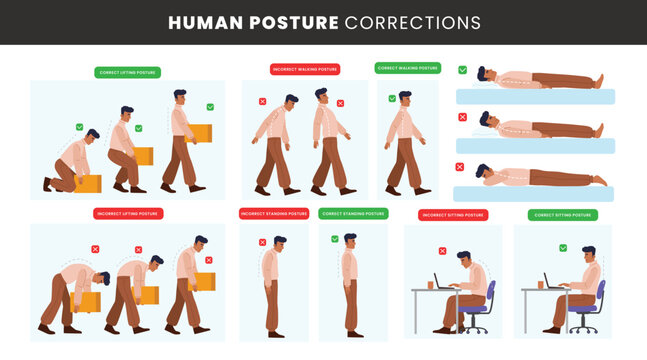 Posture Correction Images – Browse 246,012 Stock Photos, Vectors, and ...