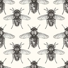 Intricate illustration of a housefly, showcasing its compound eyes, bristly body, and veined wings. Minimal pattern banner wallpaper, simple background, Seamless,