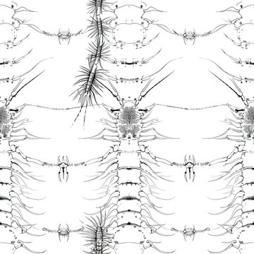 Detailed line drawing of a centipede, capturing its numerous legs, segmented body, and antennae. Minimal pattern banner wallpaper, simple background, Seamless,