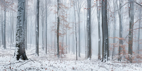 Fototapeta premium Winter forest Natural background Fog in the winter forest