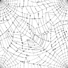 Obraz premium Artistic portrayal of a spider web, glistening with dewdrops and intricately woven silk threads. Minimal pattern banner wallpaper, simple background, Seamless,