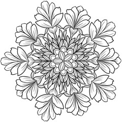 Floral Mandala isolated design on transparent background. 
