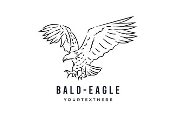 Bald eagle flying bird, hand drawn line drawing vector logo illustration