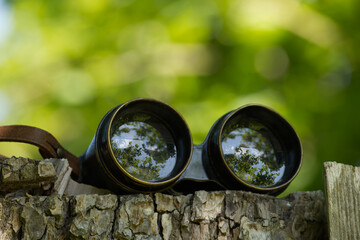 Vintage binoculars resting on mossy tree stump in forest setting