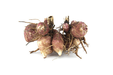 Jerusalem artichokes (sunchokes) tubers isolated on white