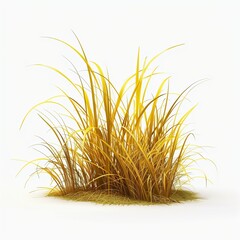 Fototapeta premium Grass plant yellow small long leaves nature agriculture decoration