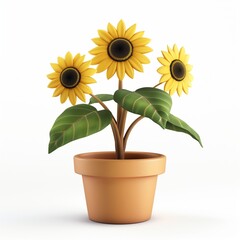 Obraz premium Sunflower on clay pot yellow Helianthus annuus blooming in bright season