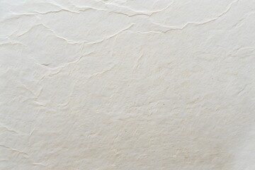 Minimalist White Rice Paper Texture Background