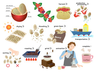 コーヒー豆の精製工程とコーヒーを淹れる男性