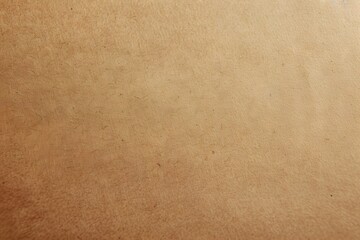 Obraz premium Light Brown Paper Texture Background