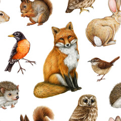 Forest animals painted seamless pattern. Hand drawn watercolor illustration. Vintage style fox, hedgehog, bunny, robin, owl, squirrel seamless pattern. Cute forest animals on white background
