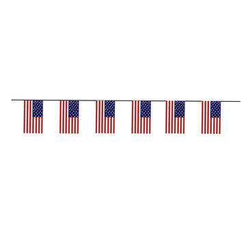 American Independence Flag 