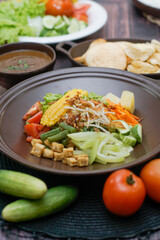 Close up of gado-gado ingredients in a plate, various vegetables and fried tempeh