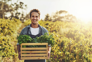 Crate, portrait and vegetables with man on farm for agribusiness, growth or sustainability. Agriculture, flare and harvest with smile of farmer outdoor in field for ecology, grocery market or produce