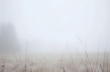 Obraz premium Serene Foggy Meadow - Minimalist Background