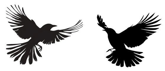 Obraz premium set of silhouette clipart of a birds in flight with wings outstretched and hanging upside down from a branch
