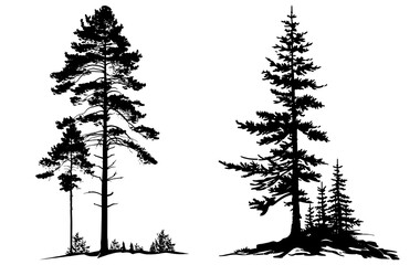 set of silhouette clipart of a tall, slender pine tree