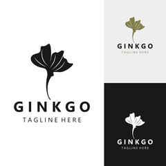 Ginkgo biloba logo nature. Healthy leaf organic used in medicine for disease treatment with line art style design