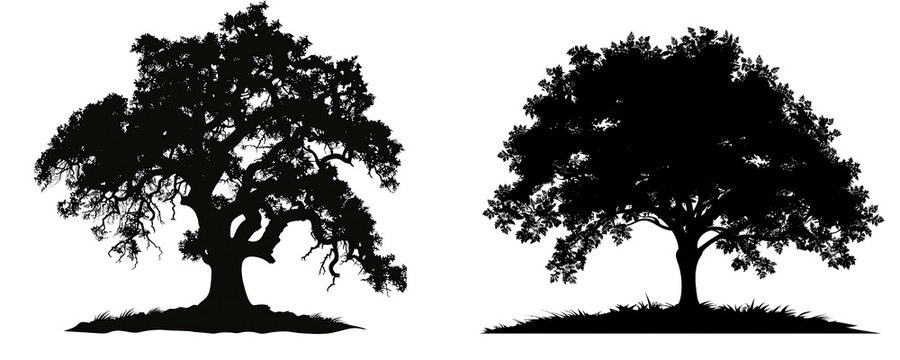 set of silhouette clipart of a large oak tree with sprawling branches